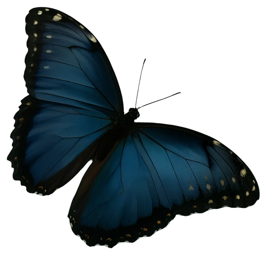 Mariposa Morpho Azul